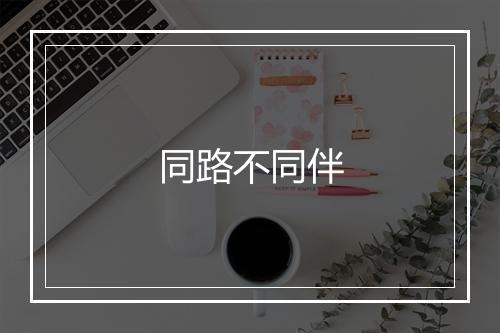 同路不同伴