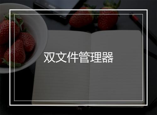 双文件管理器