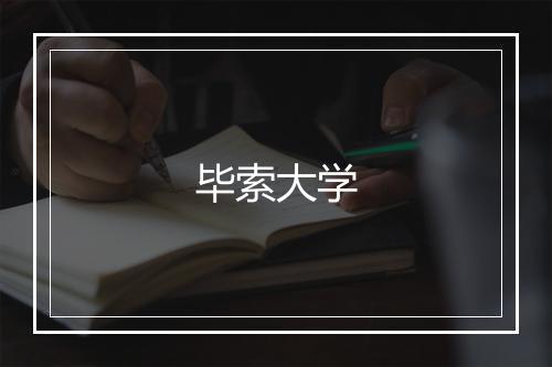 毕索大学