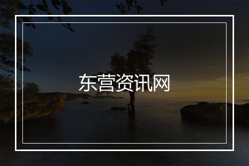 东营资讯网