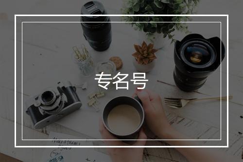 专名号