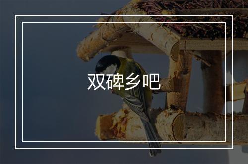 双碑乡吧