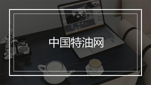 中国特油网