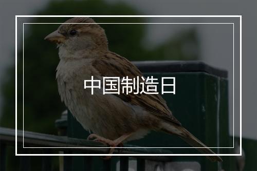 中国制造日