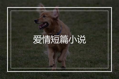 爱情短篇小说