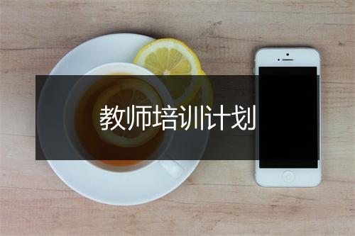 教师培训计划