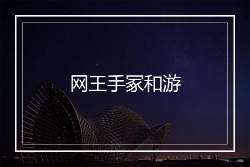 网王手冢和游