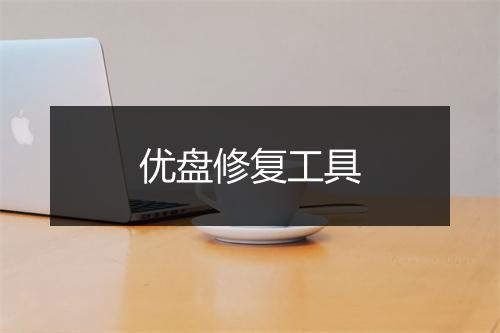 优盘修复工具