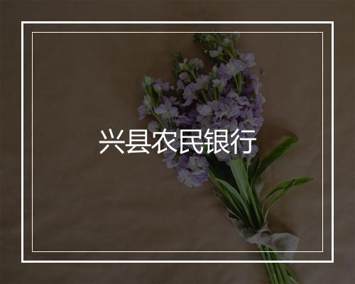 兴县农民银行