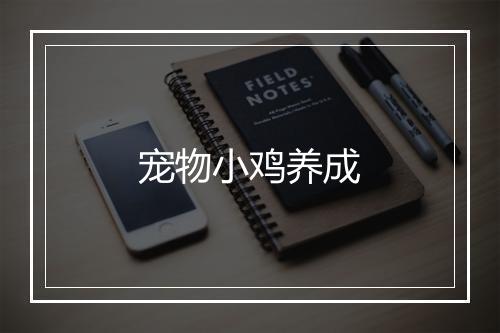 宠物小鸡养成