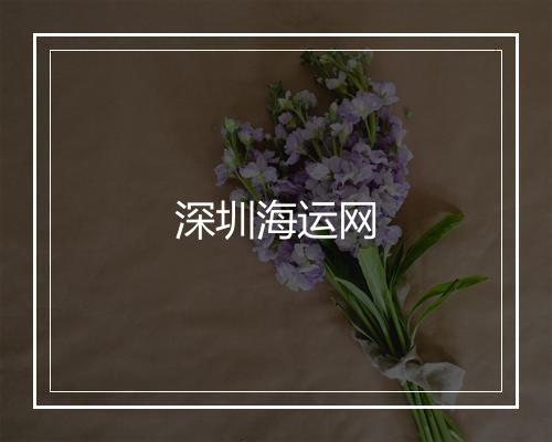 深圳海运网