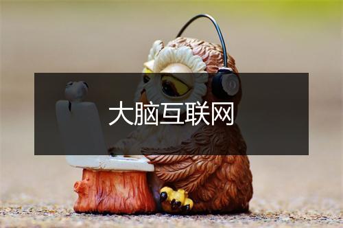 大脑互联网