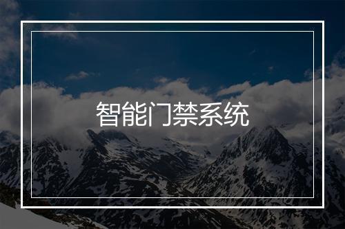 智能门禁系统