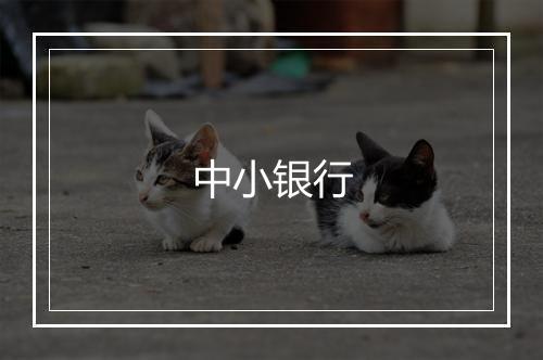 中小银行