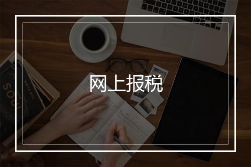 网上报税