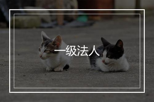 一级法人