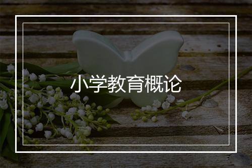 小学教育概论