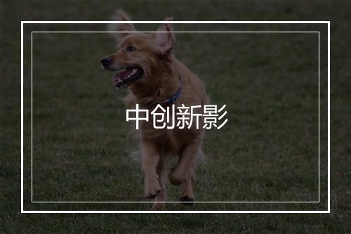 中创新影