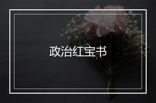 政治红宝书