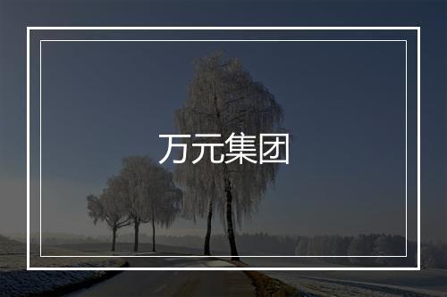 万元集团