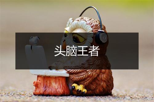 头脑王者