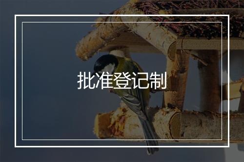 批准登记制