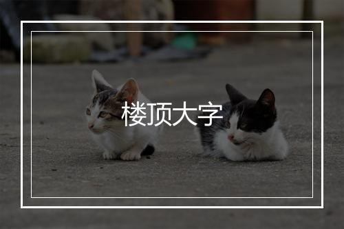 楼顶大字