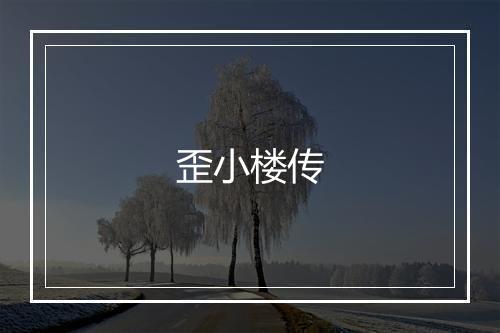 歪小楼传