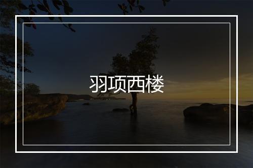 羽项西楼