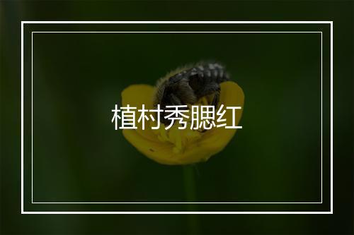 植村秀腮红