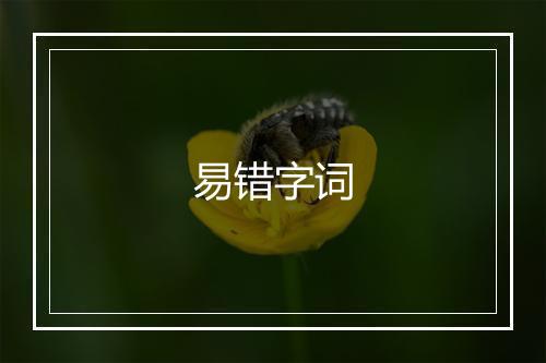 易错字词