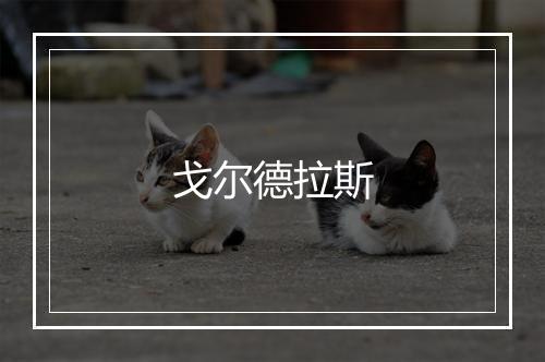 戈尔德拉斯