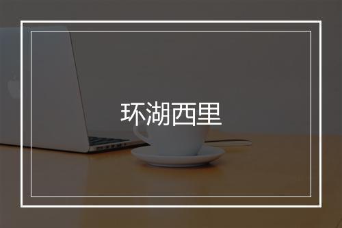 环湖西里