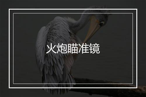 火炮瞄准镜