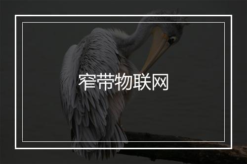 窄带物联网