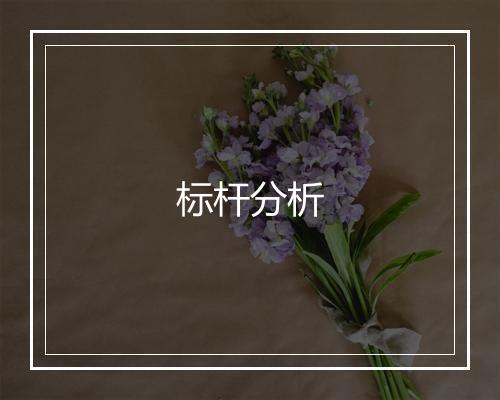 标杆分析