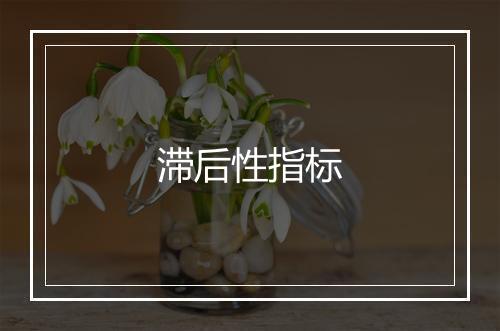 滞后性指标