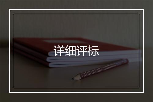 详细评标