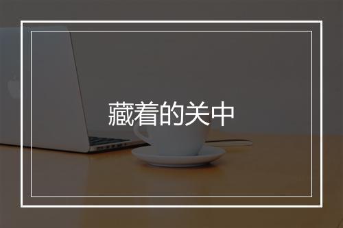 藏着的关中