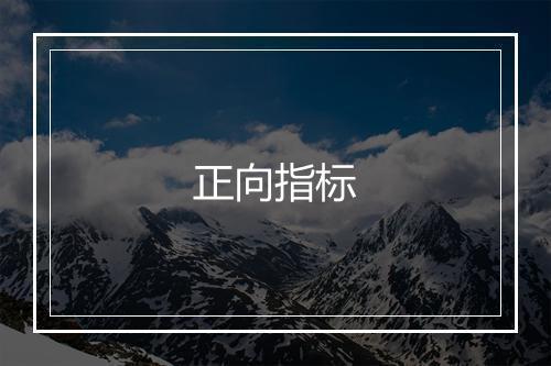 正向指标