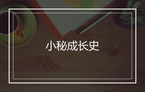 小秘成长史