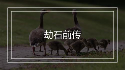 劫石前传