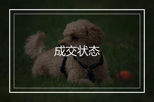 成交状态