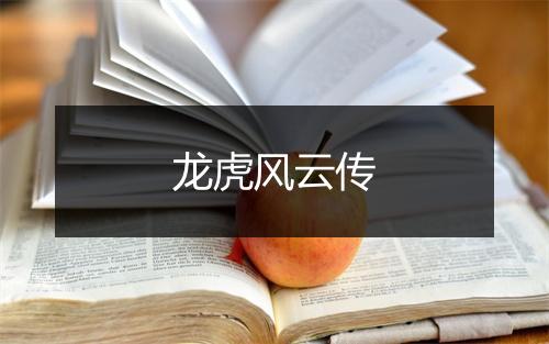 龙虎风云传