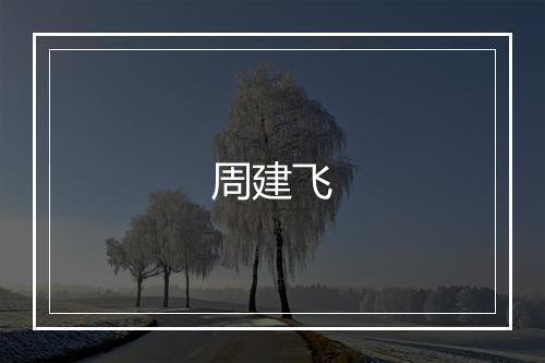 周建飞