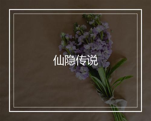 仙隐传说