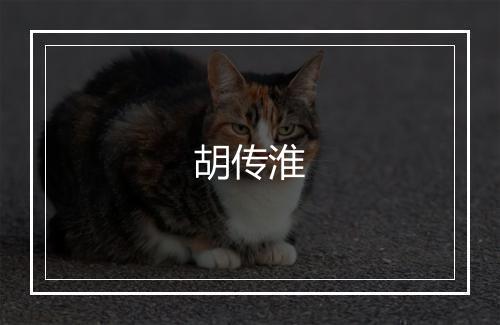 胡传淮