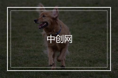 中创网