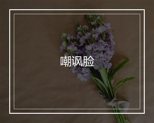 嘲讽脸