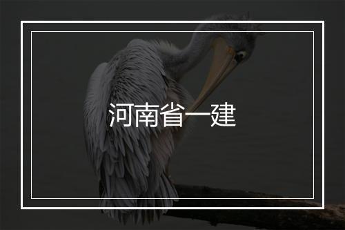 河南省一建